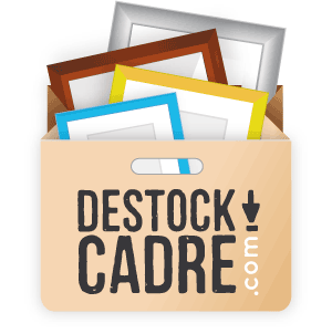 Logo du site Destock Cadre